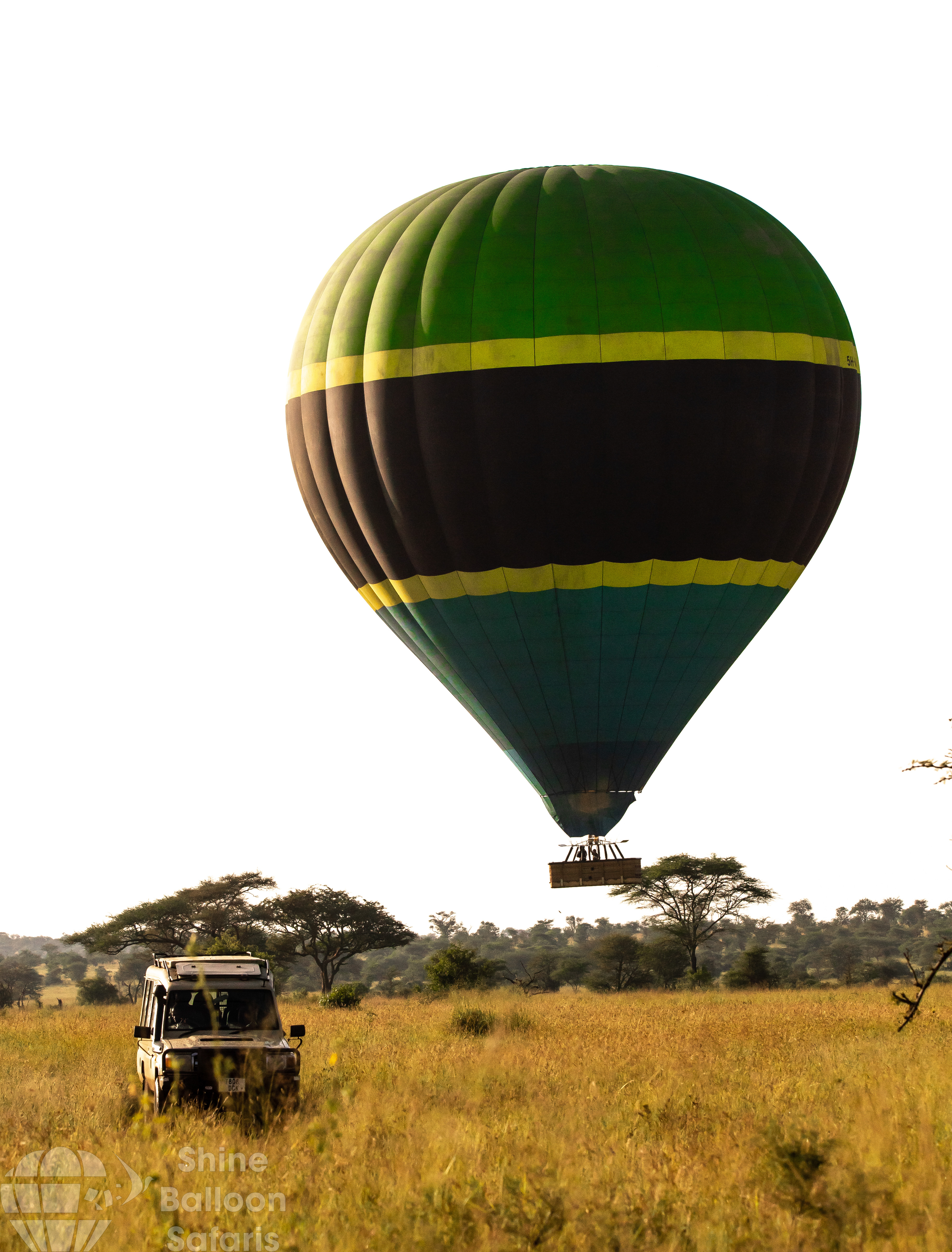 Safari Experience